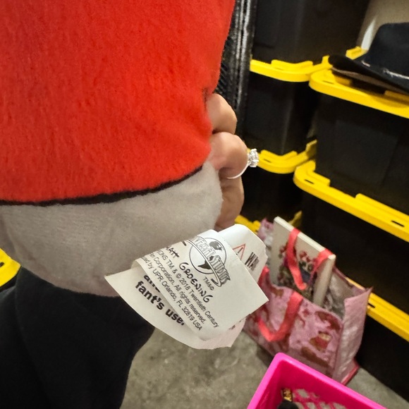 Random Plushies - Picture 4 of 5